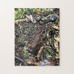 Salamander in the Forest, Washington Jigsaw Puzzle