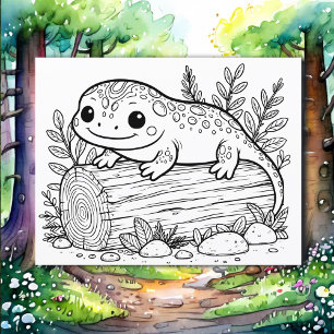 Salamander Kid's Colouring Page