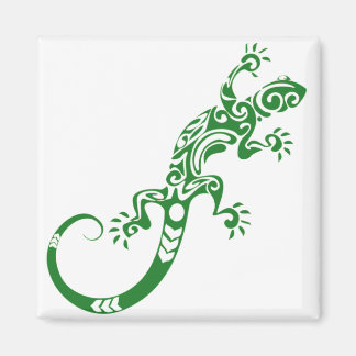 salamandra magnet