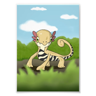 Salamandra Photo Print