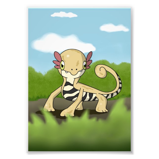 Salamandra Photo Print (Front)