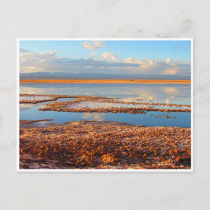 salar atacama postcard