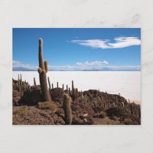 Salar de Uyuni cactus postcard