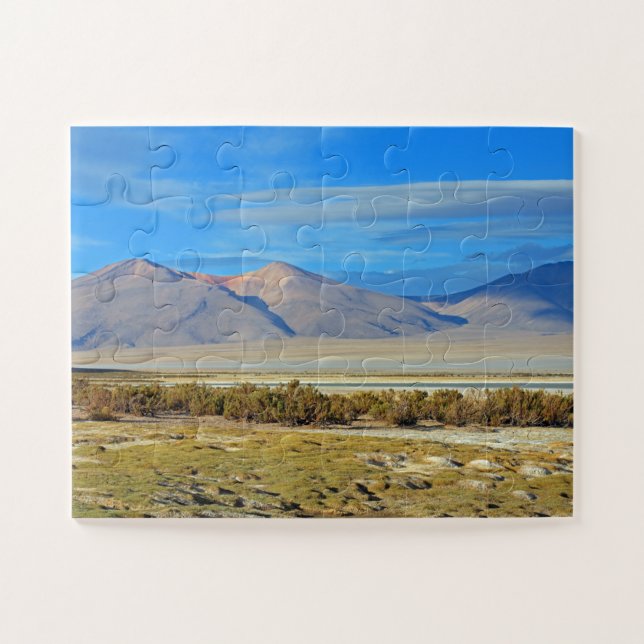Salar del Huasco, 30-pc Jigsaw Puzzle (Horizontal)