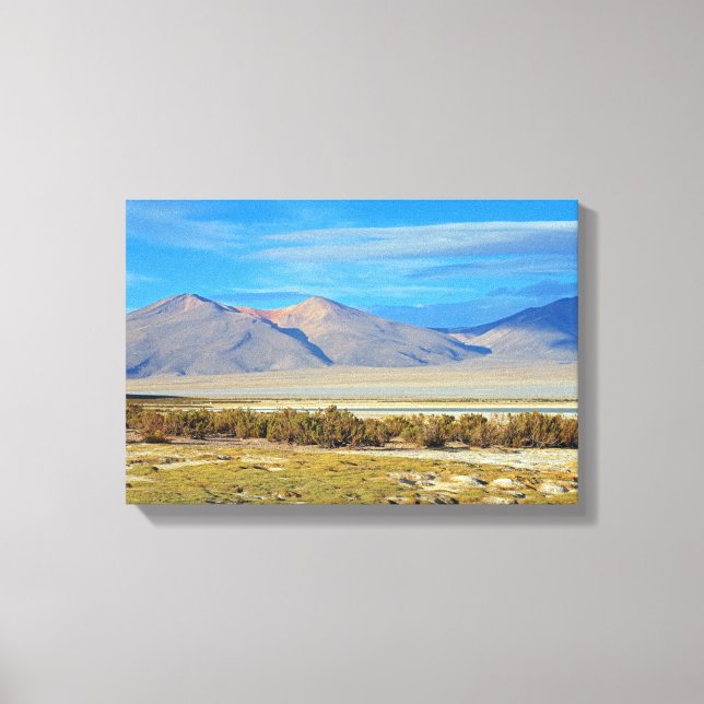 Salar del Huasco, Chile Canvas Print (Front)