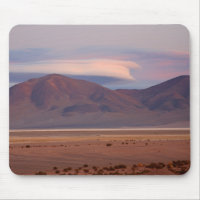 Salar del Huasco, Chile