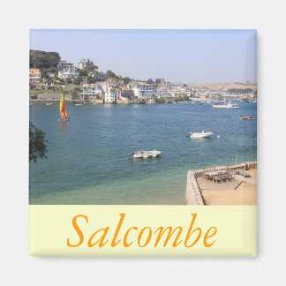 Salcombe, Devon Magnet