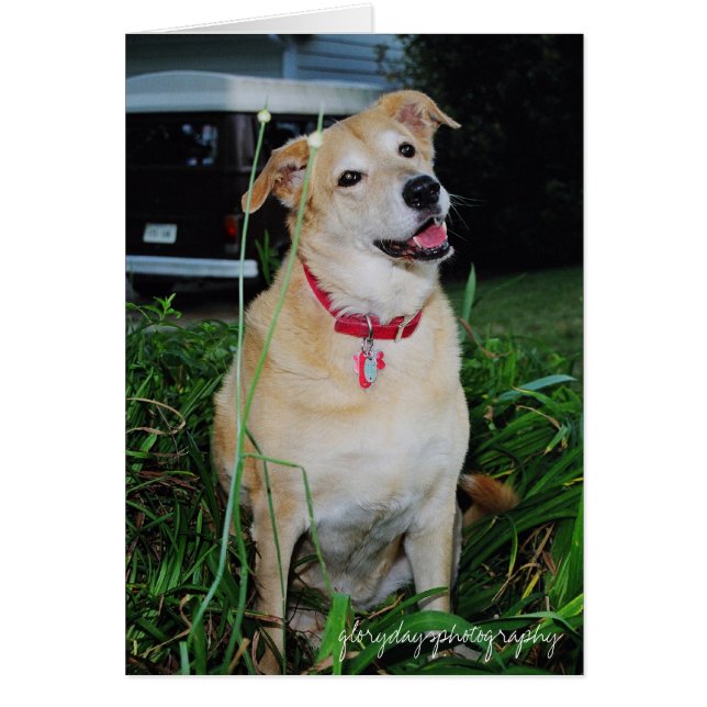 Sale, glorydaysphotographie (Devant)