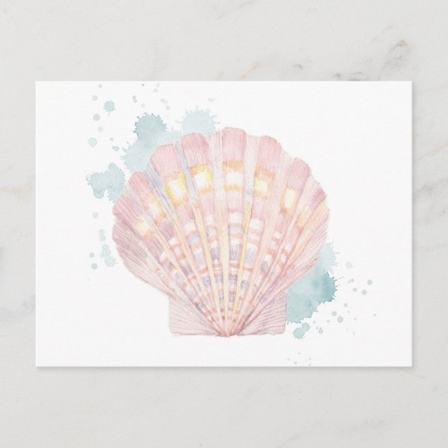 Salento Coast Shell Postcard (Front)