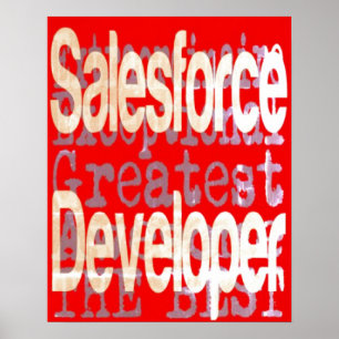 Salesforce Developer Extraordinaire Poster