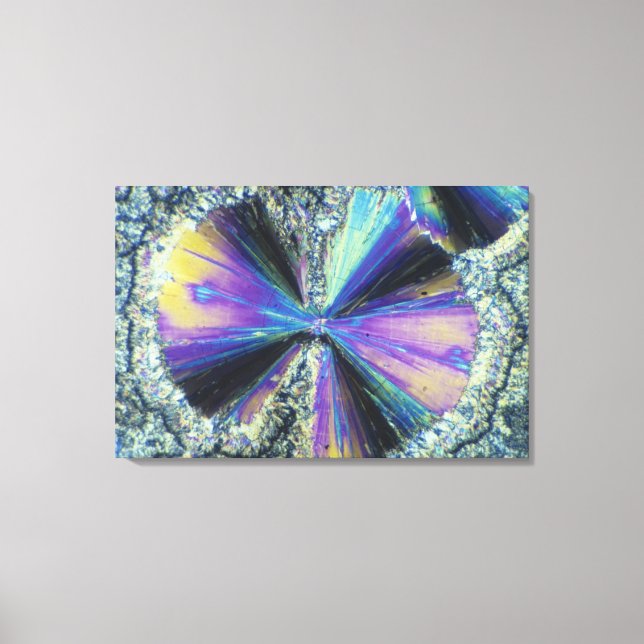 Salicylic Acid Crystals Viewed in Polarized Light Canvas Print (Front)