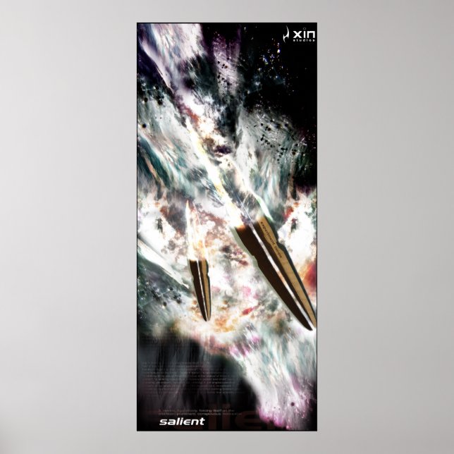 salient poster (Front)