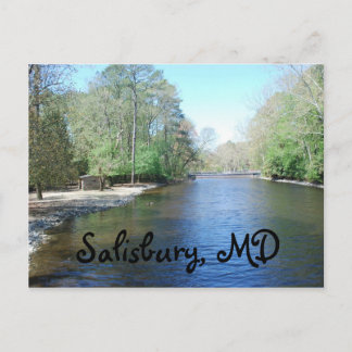 Salisbury Zoo, MD Postcard