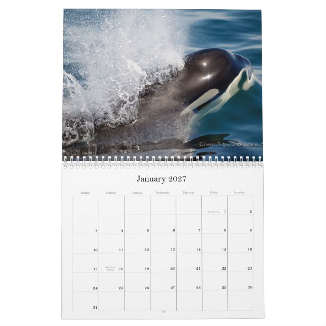 Salish Sea Wildlife 2012 Calendar (Jan 2027)