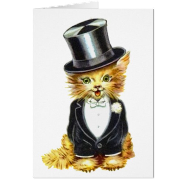 Salle de chat (Devant)