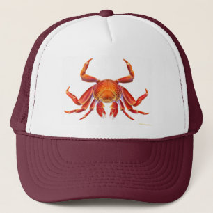 Sally Lightfoot Crab Hat