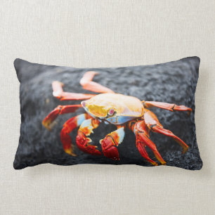 Sally lightfoot crab on a black lava rock lumbar pillow