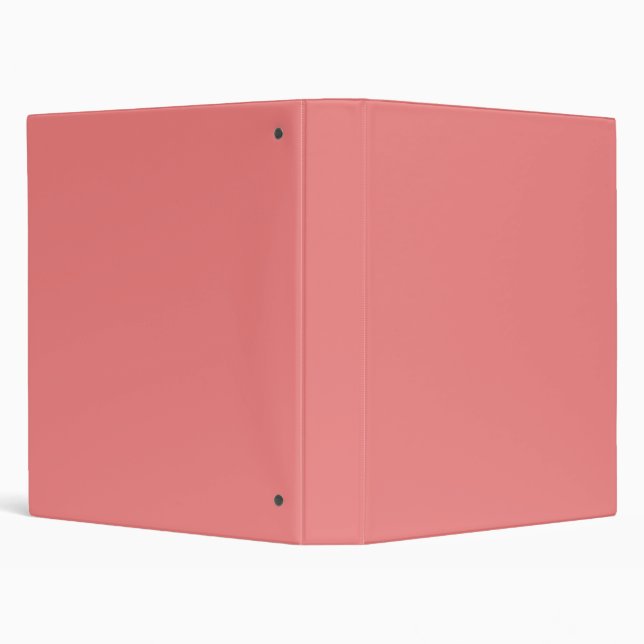 Salmon Binder (Background)