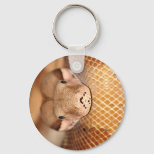 Salmon Boa Keychain