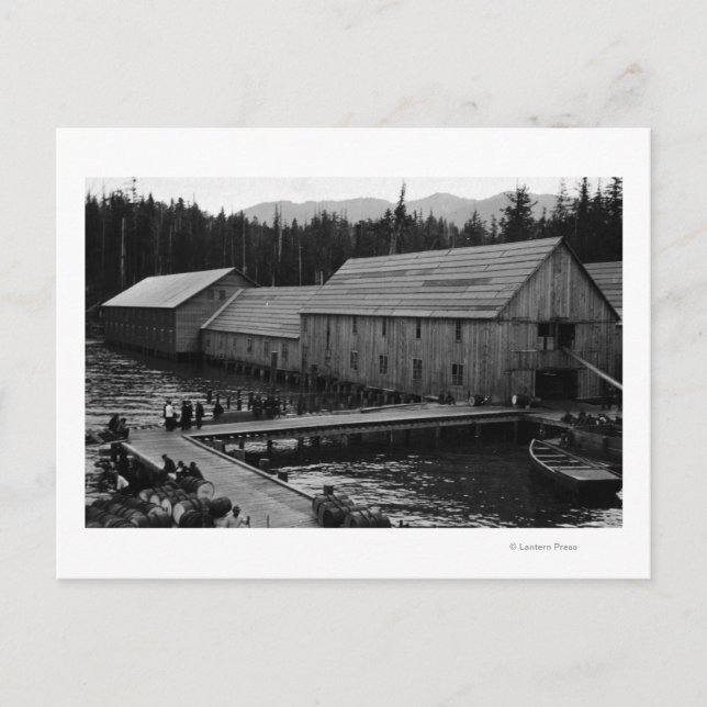 Salmon Cannery near Ketchikan, Alaska Postcard (Front)