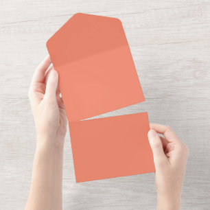 Salmon #F38367, Pink Daisy All In One Invitation