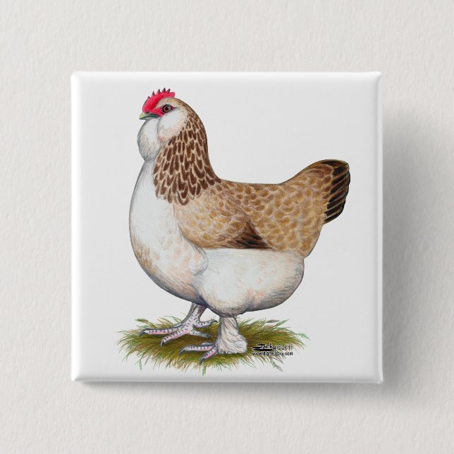 Salmon Faverolle Hen 2 Inch Square Button (Front)