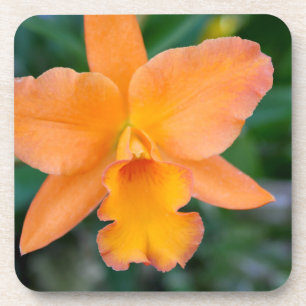 Salmon Orchid Coaster