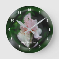 Salmon Pink Bearded Iris Flower Art