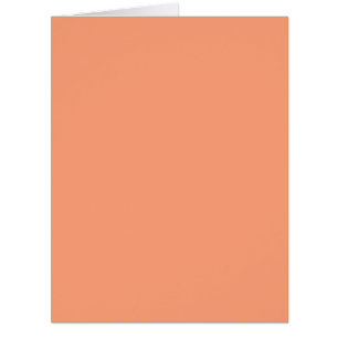 Salmon Pink colour decor customizable