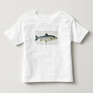Salmon (Salmo Salar) plate XX from 'Ichthyologie, Toddler T-shirt