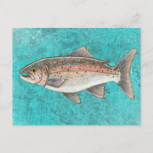 Salmon Sketch Postcard