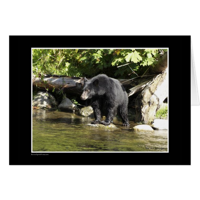 "Salmon Spotting" Black Bear Gifts (Front Horizontal)