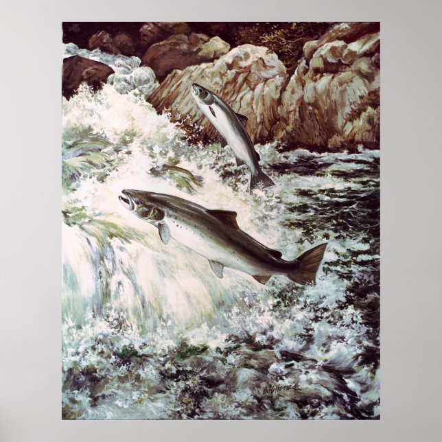 salmon swimming upstream poster (Front)