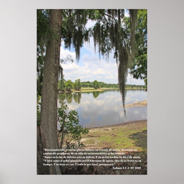 Salmos 1:1-3 (Cartel con Rio y Arbol) Poster (Front)