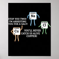 Salt And Copper Periodic Table Police Pun