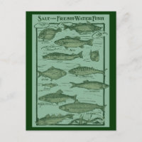 Salt and Fresh Water Fish Chart