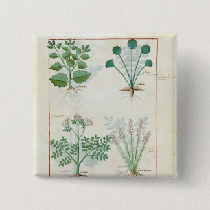 Salt Bush and Anthora Absinthium and Cardamom 2 Inch Square Button