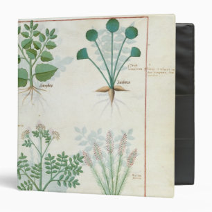 Salt Bush and Anthora Absinthium and Cardamom Binder