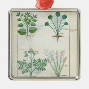 Salt Bush and Anthora Absinthium and Cardamom Metal Ornament