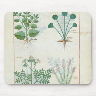 Salt Bush and Anthora Absinthium and Cardamom Mouse Pad