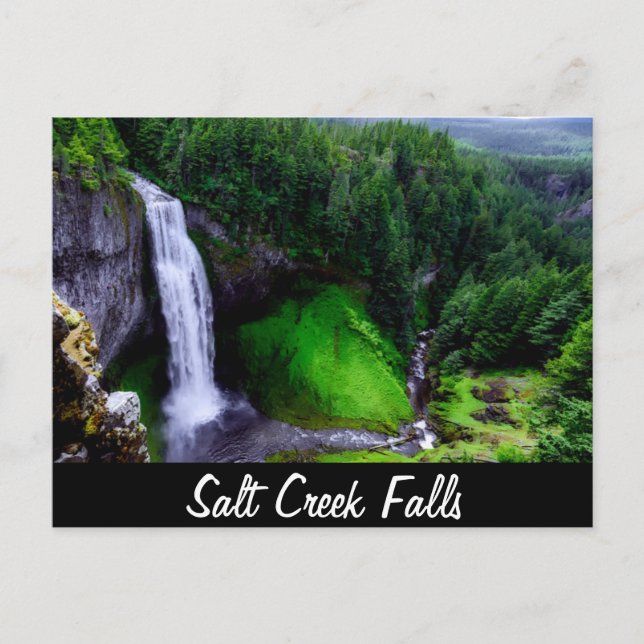 Salt Creek Falls, Oregon Postcard (Front)