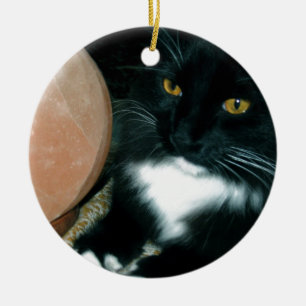 Salt Globe and Cat Psychic - Photograph Ceramic Ornament