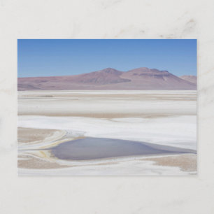 Salt Lake On The Road To Argentina Postcard