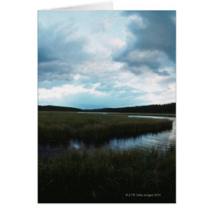 Salt marsh