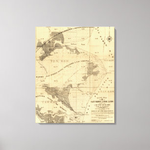 Salt marsh and tide lands canvas print