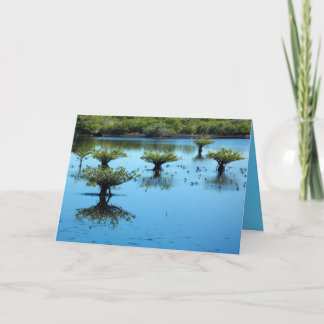 Salt Marsh with Mangroves Greeting Card