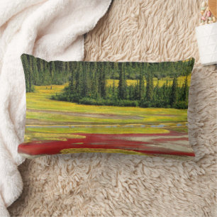 Salt Plain & Forest   Wood Buffalo National Park Lumbar Pillow