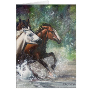 Salt River Wild Horses