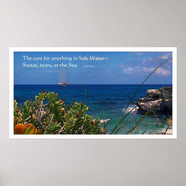 Salt Water Cure Island and Ship Poster (Front)