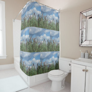 Salt Water Marsh